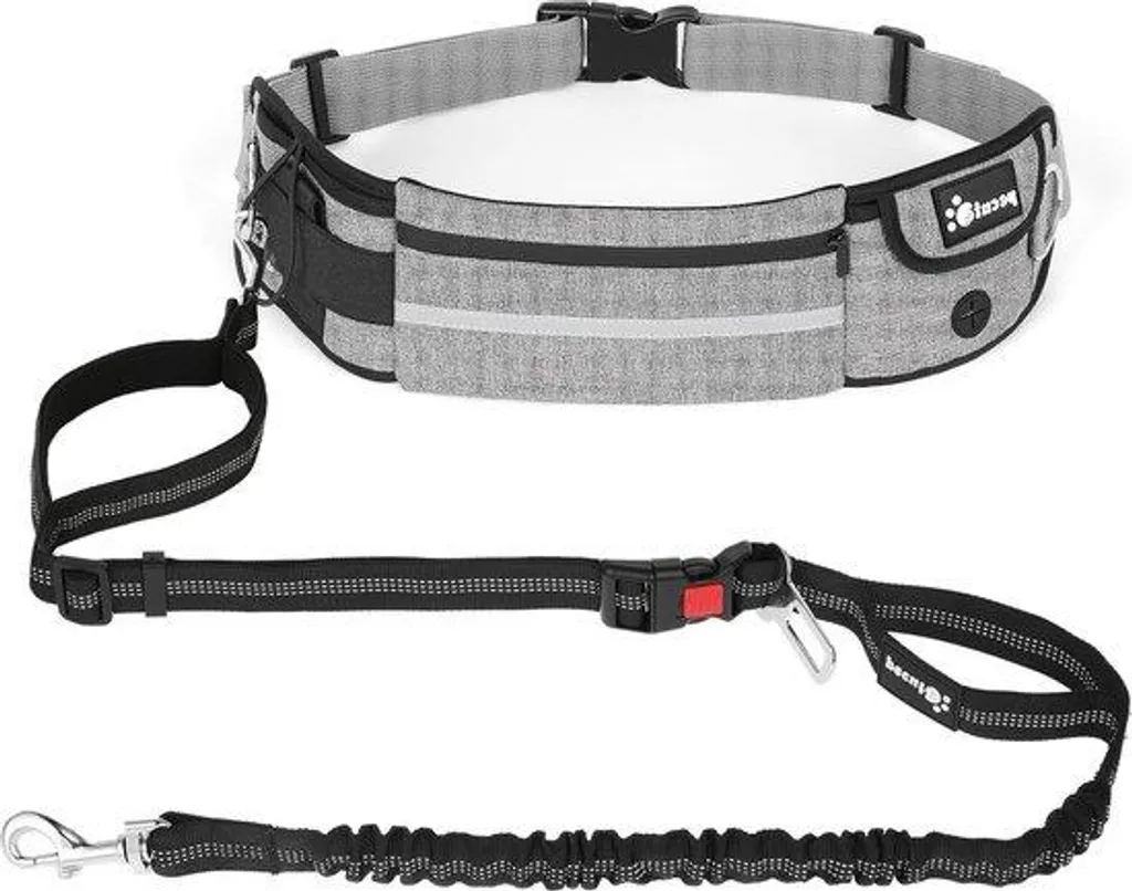 Laisse pour chien élastique de jogging jusqu'à 100 kg avec sac inclus