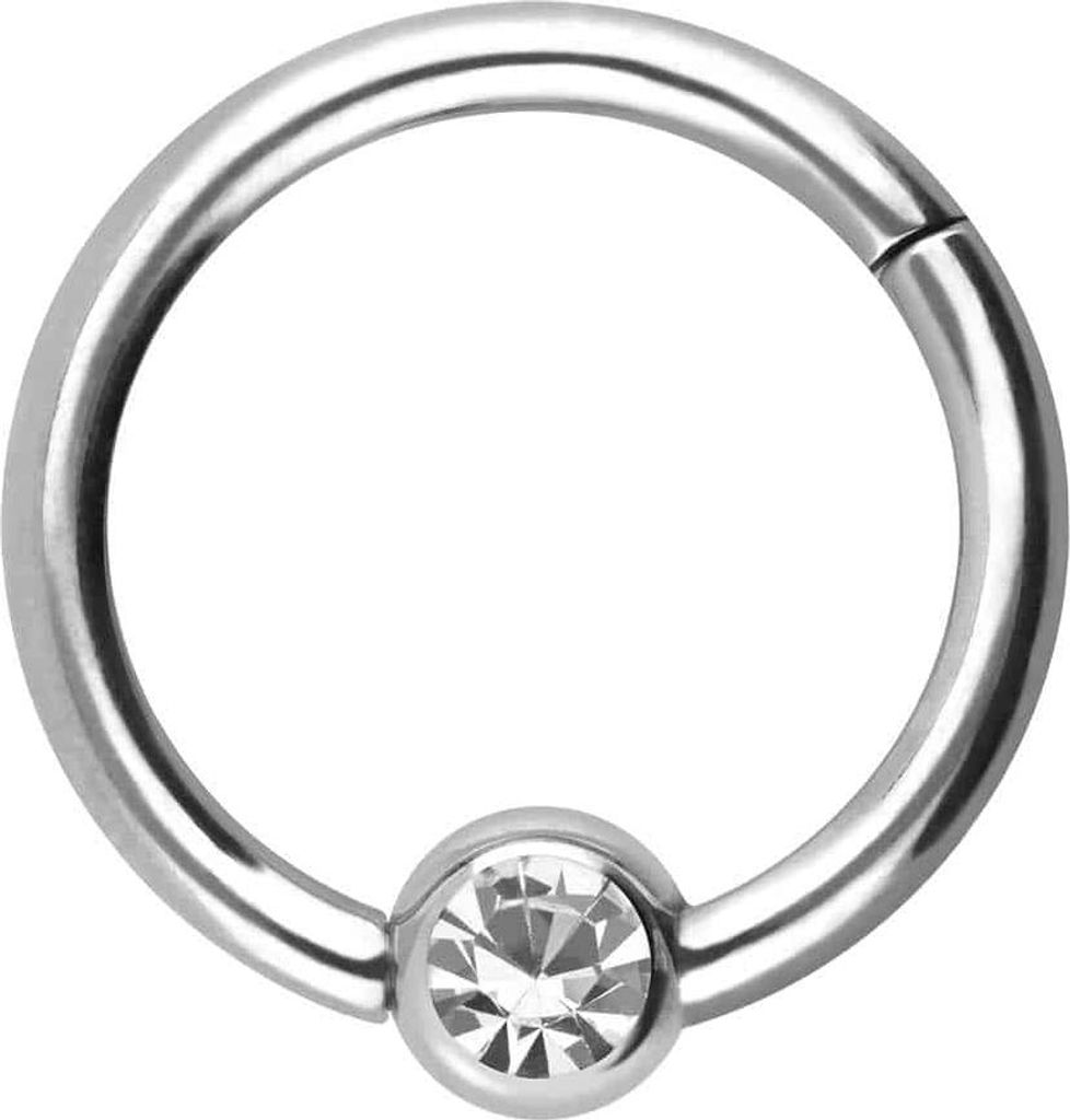 Ohrpiercing, Nasenpiercing, Septum Piercing Titan Segmentring Clicker KRISTALL Silber Innendurchmesser: 10mm + Stabstärke: 1,6mm