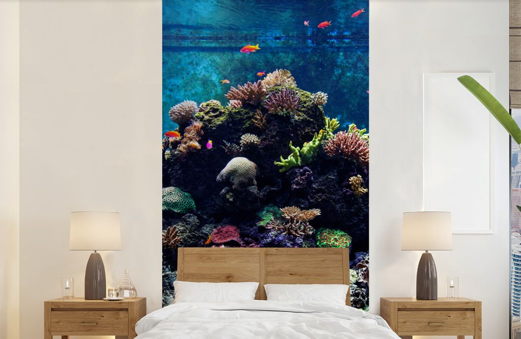 MuchoWow Fototapete für Wohnzimmer oder Schlafzimmer Wandtapete Vinyl Motivtapete Aquarium mit tropischen Fischen und Korallen - 120x240 cm - Hi...