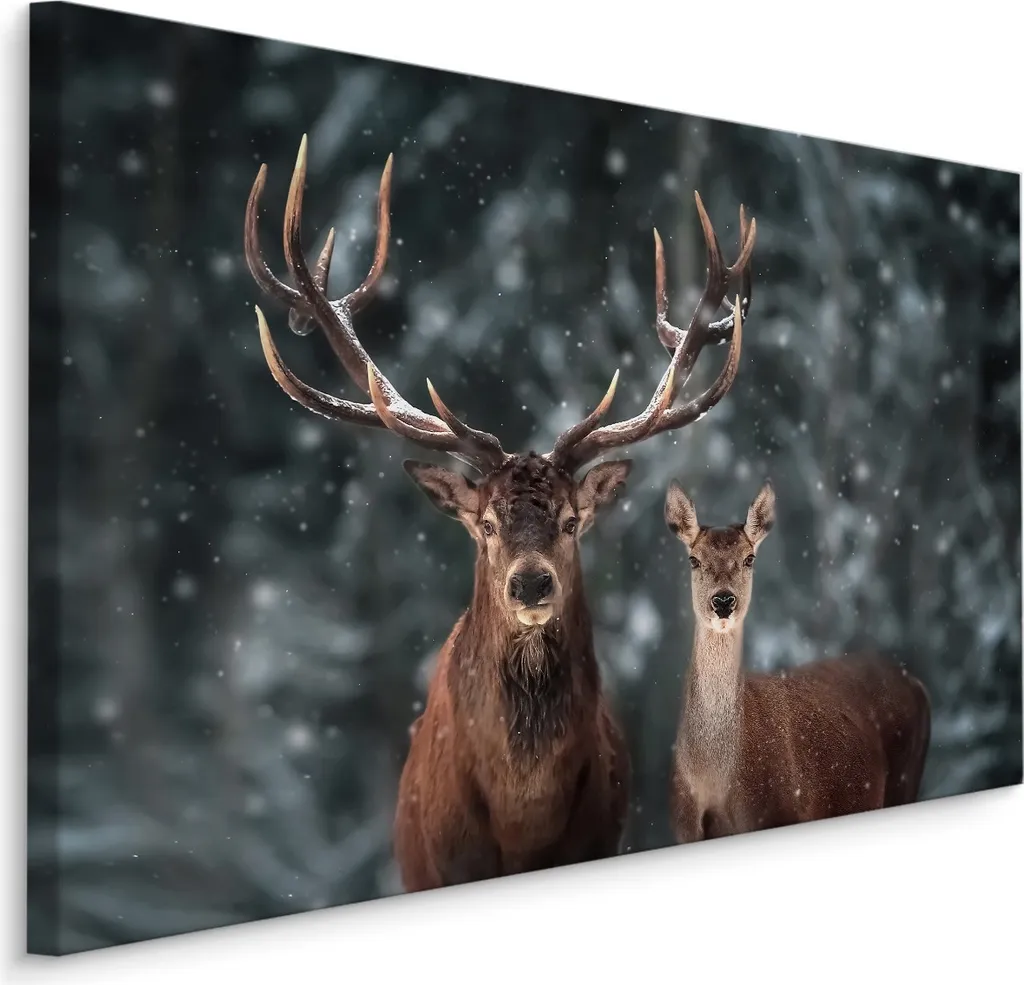 Impression d'Art Cerf XXL 70x50 cm - Toile Haute Définition Forêt Neige