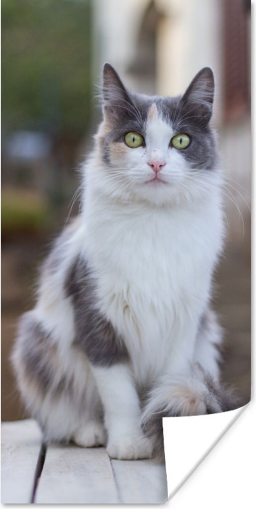 MuchoWow Poster Katze - Porträt - Tisch - Mädchen - Kinder - Jungen 60x120 cm - Wandschmuck
