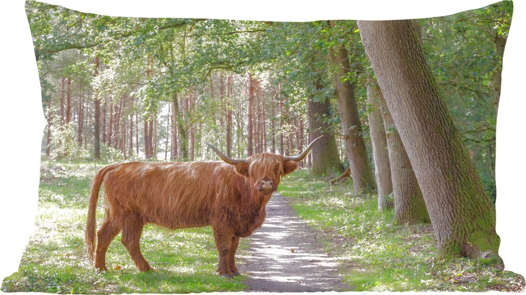 MuchoWow Zierkissen Sofakissen Wohnzimmer Dekokissen 60x40 cm Wald - Schottisches Hochlandrind - Licht - Kopfkissen - Polster mit Foto