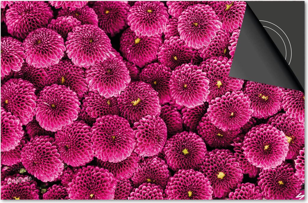 Induktionsschutz 65x52 - abdeckplatte Induktion matt- Dietrix Kochfeldschutz- DELUXE - Flowers 8 - Chrysant rosa