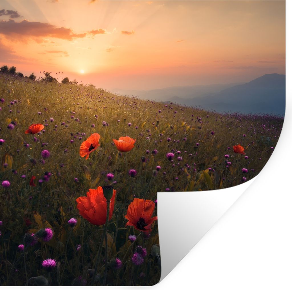 MuchoWow Wandtattoo Wandsticker Wandaufkleber Blumenfeld - Gras - Pflanzen - Sonnenuntergang - Orange 80x80 cm Selbstklebend und Repositionierbar...