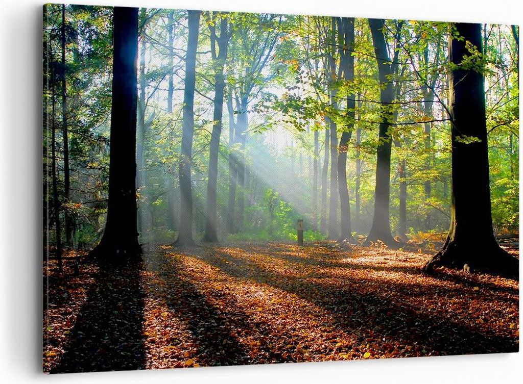 Bild auf Leinwand - Leinwandbild - Wald Blätter Sonne - 120x80cm - Wand Bild - Wanddeko - Leinwanddruck - Bilder - Kunstdruck - Wanddekoration - L...