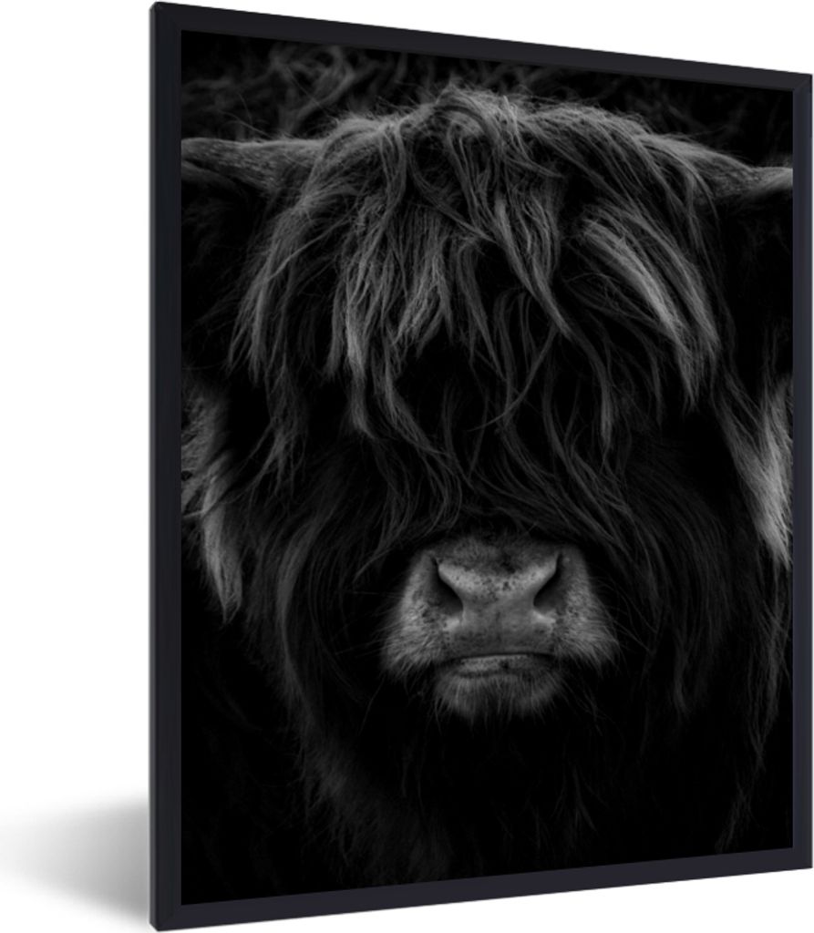 MuchoWow Gerahmtes Poster Schottischer Highlander - Kuh - Porträt - Tiere - Schwarz - Weiß 60x80 cm - Poster mit Schwarzem Bilderrahmen Wandpos...