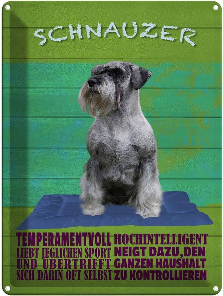 vianmo Blechschild 40x30 cm Schnauzer Hund temperamentvoll