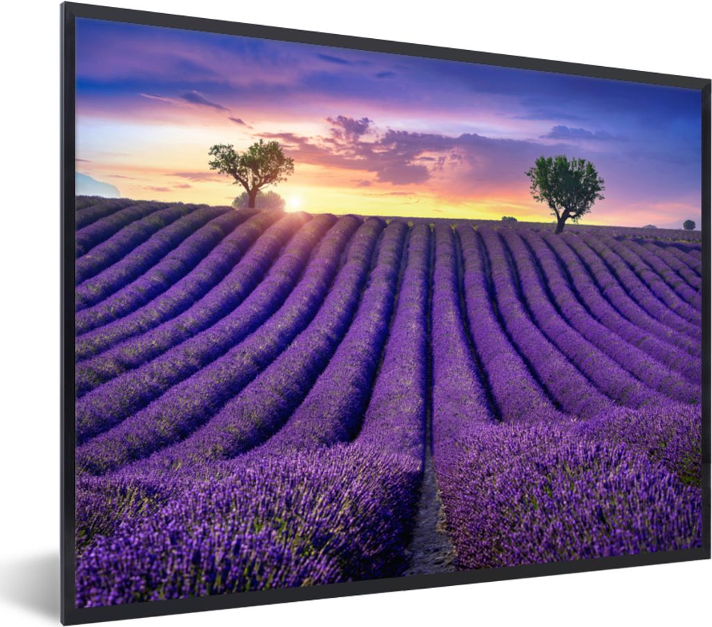 MuchoWow Gerahmtes Poster Lavendel - Hügel - Sonnenuntergang - Bpmen - Lila 80x60 cm - Poster mit Schwarzem Bilderrahmen Wandposter Rahmen Foto ...
