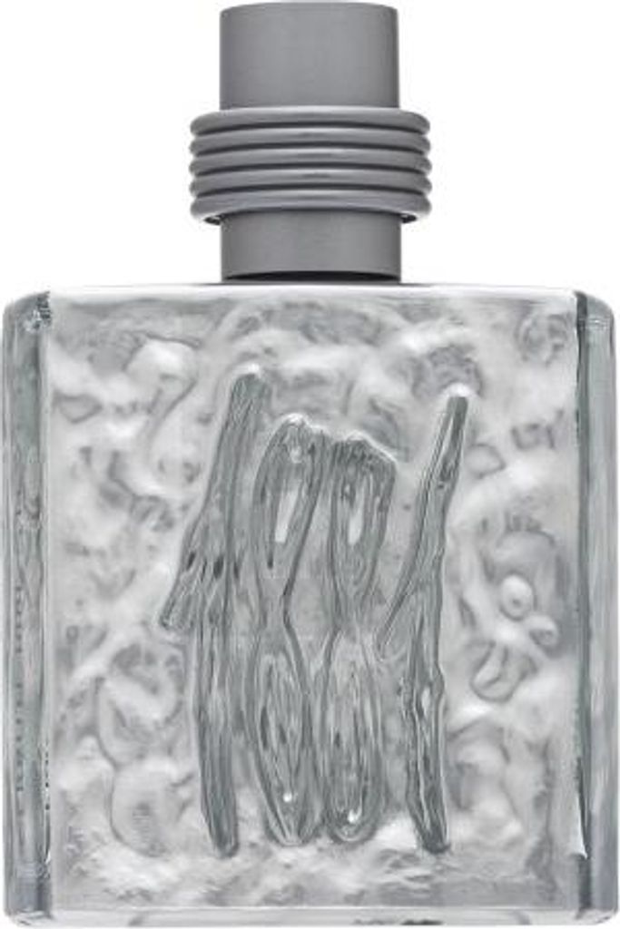 Cerruti 1881 Silver Eau de Toilette für Herren 100 ml