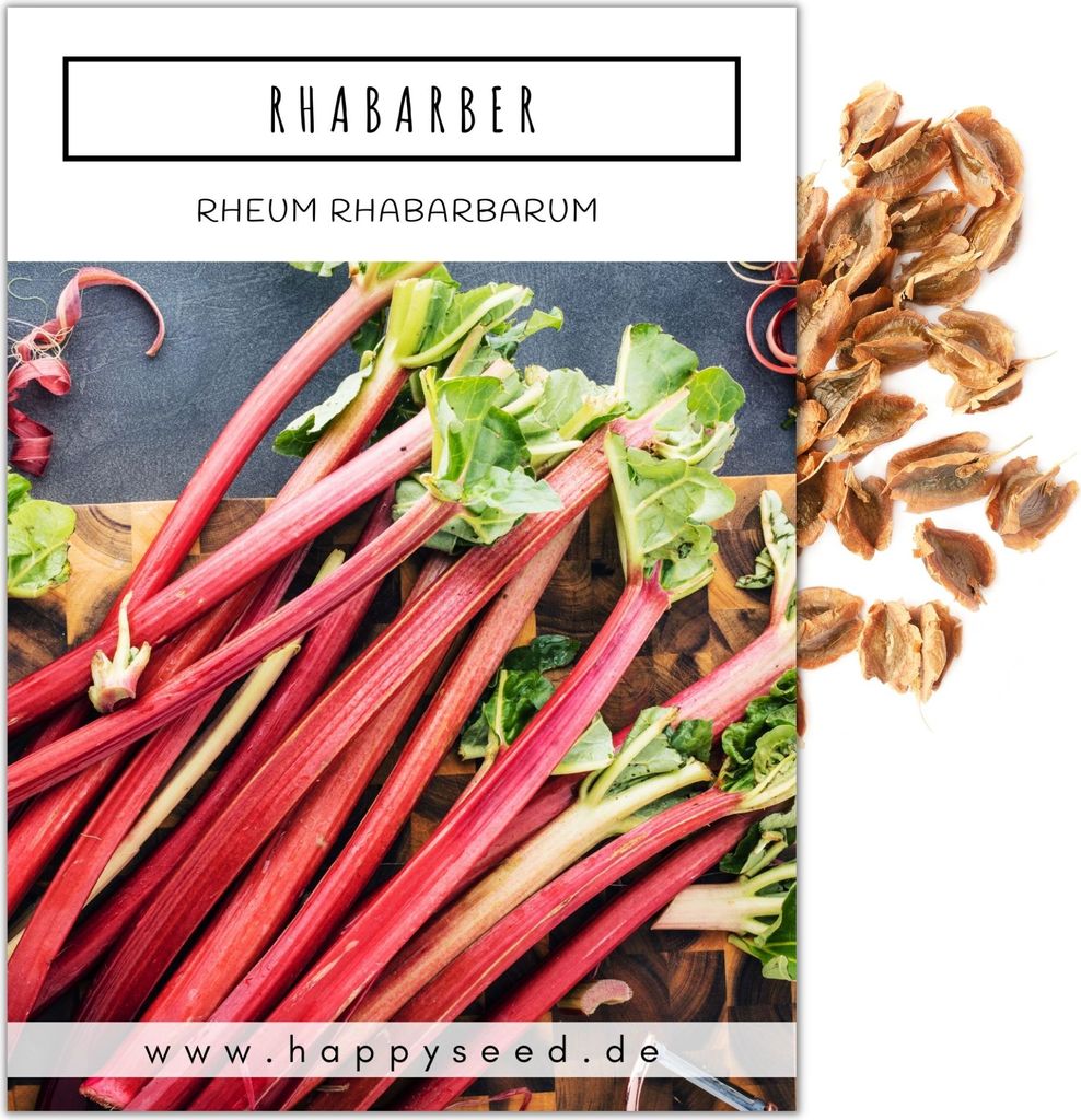 Roter Rhabarber Samen (Rheum rhabarbarum) - Nährstoffreiche Produktbild 