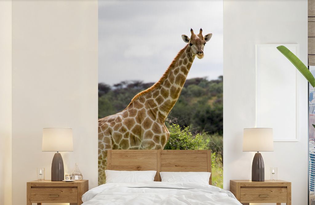MuchoWow Fototapete für Wohnzimmer oder Schlafzimmer Wandtapete Vinyl Motivtapete Giraffe - Pflanzen - Tier - 120x240 cm - Hintergrundbild