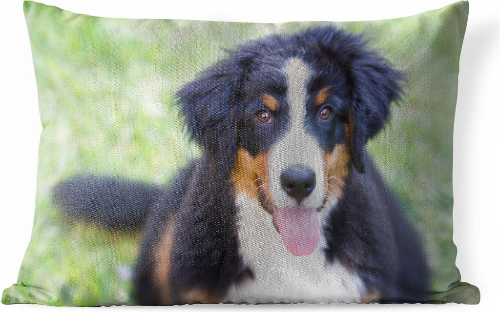 MuchoWow Outdoor Kissen - Berner Sennenhund auf der grünen Wiese - 60x40 cm - Wetterfest - Lounge Kissen - Zierkissen - Kissen für Innenräume