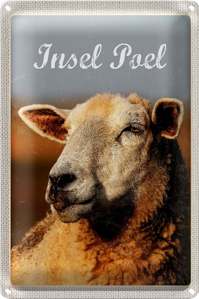 Blechschild Reise 18x12cm Insel Poel Urlaub Schaf Natur Weide