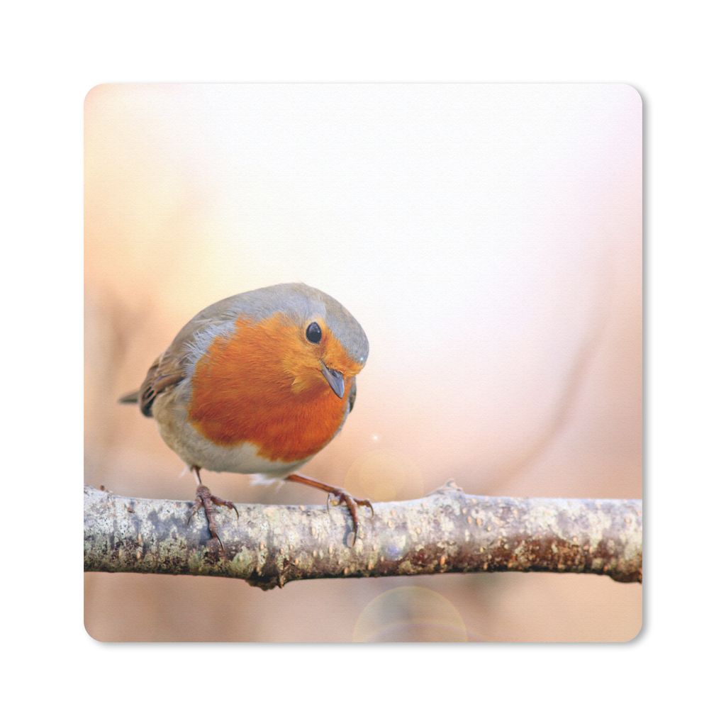 MuchoWow Mauspad Mousepad Rotkehlchen - Ast - Baum 20x20 cm - Mousepads - Maus Mat - Pad - Mausunterlage - Desk Mat - Bureauartikeln