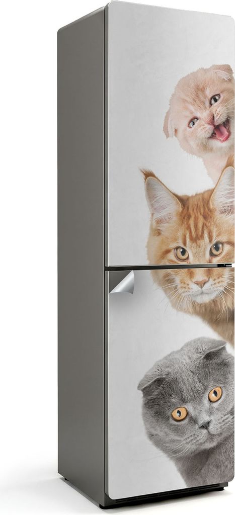 Blumenmuster mit Blättern – Kühlschrank Aufkleber – Klebefolie Kühlschrank – Kühlschrank Nachbildung – Kühlschrankfolie selbstklebend ...
