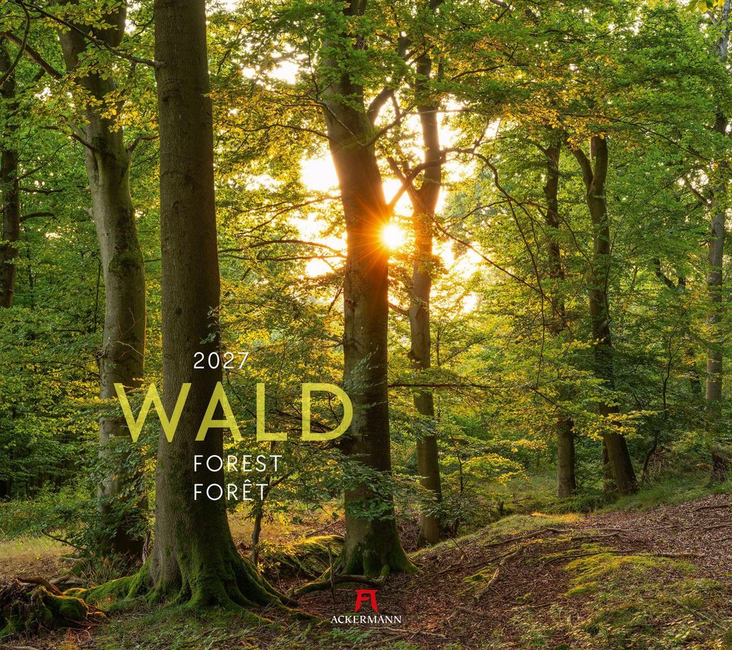 Ackermann Kunstverlag Wald Kalender 2027, 54x48 cm, Spiralbindung, dreisprachig