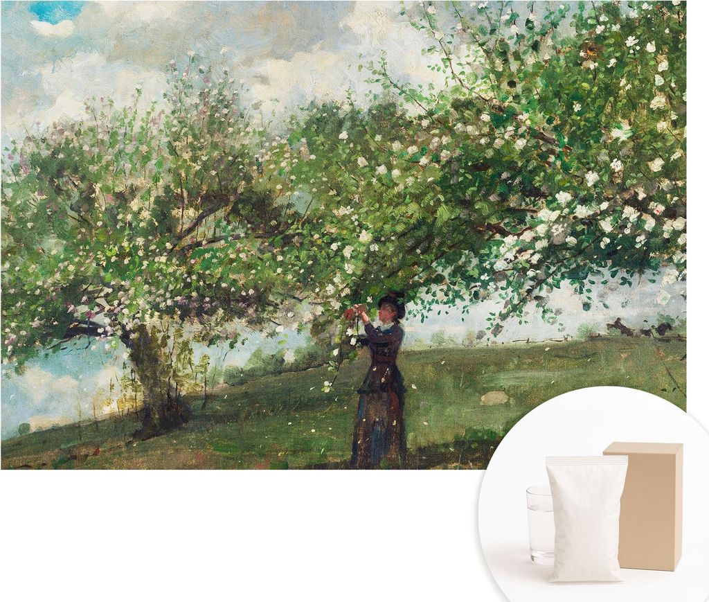 Fototapete - Wandbilder für Wohnzimmer - 152x104 cm - Dekorative Wandfolie - Modernes Design für Wanddekoration - Tapeten für Innenräume - Frü...