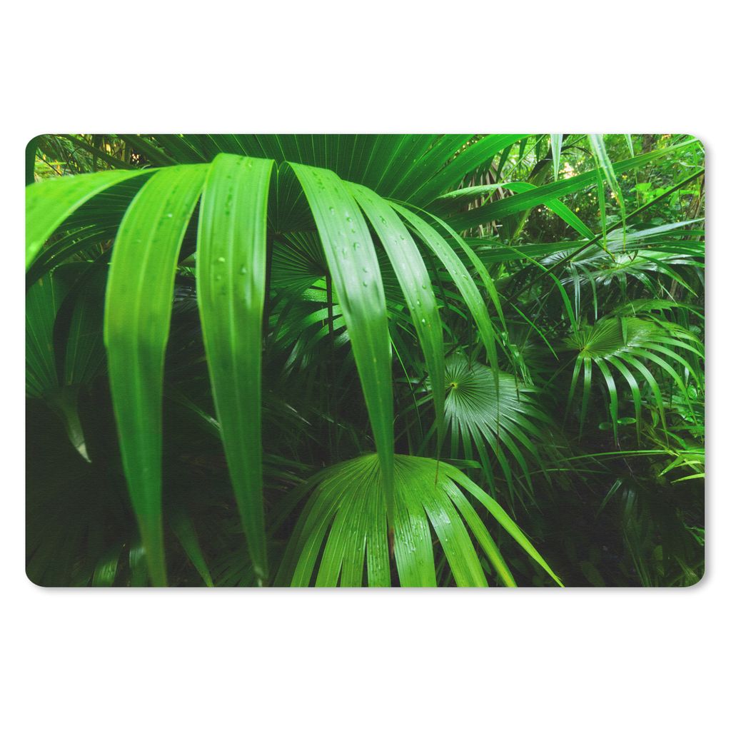 MuchoWow Mauspad Mousepad Palmenblätter im Dschungel 27x18 cm - Mousepads - Maus Mat - Pad - Mausunterlage - Büroartikel - Desk Matten