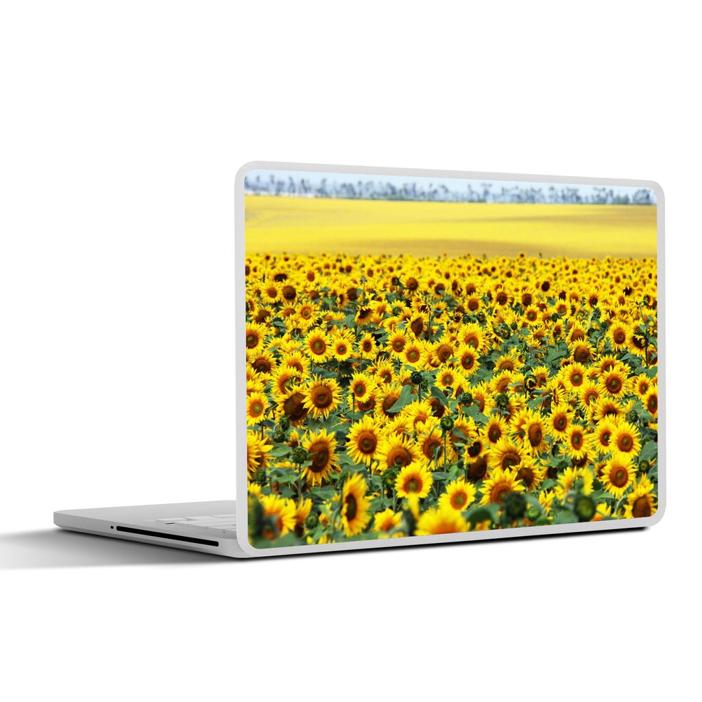 MuchoWow Laptop Aufkleber Sticker Cover Sonnenblume - Blumen - Natur 31x22.5 cm - Laptop-Deko