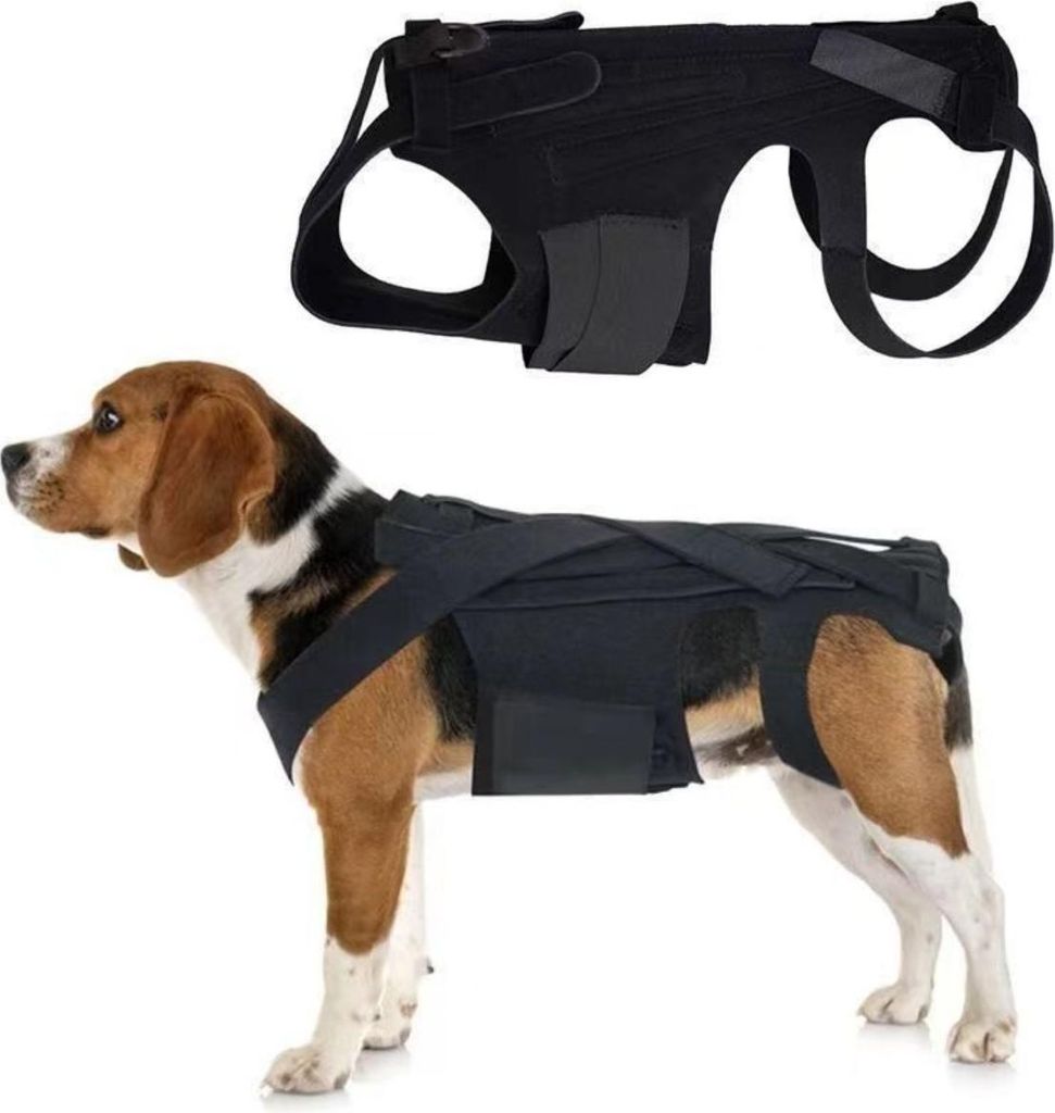 INF Hunde Rückenstütze Weste - Spinalstützgurt für Erholung und Reha M