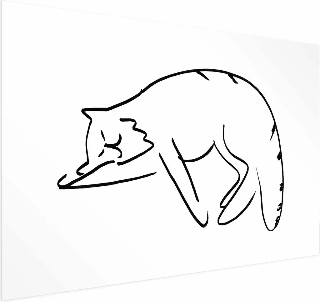 Poster Cat Dreams 90x60 cm senza cornice con margine