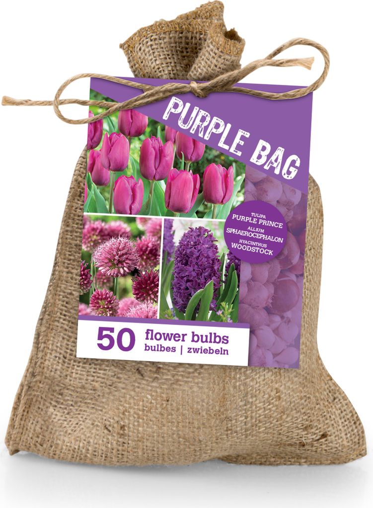 Violette Blumenzwiebeln 'The Purple Bag' 50 Stück, Höhe Produktbild 