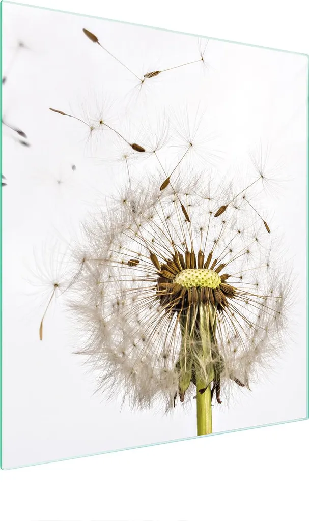 Copri Piano Cottura Vetro 45x52 Fiori - Arredo Cucina Moderno