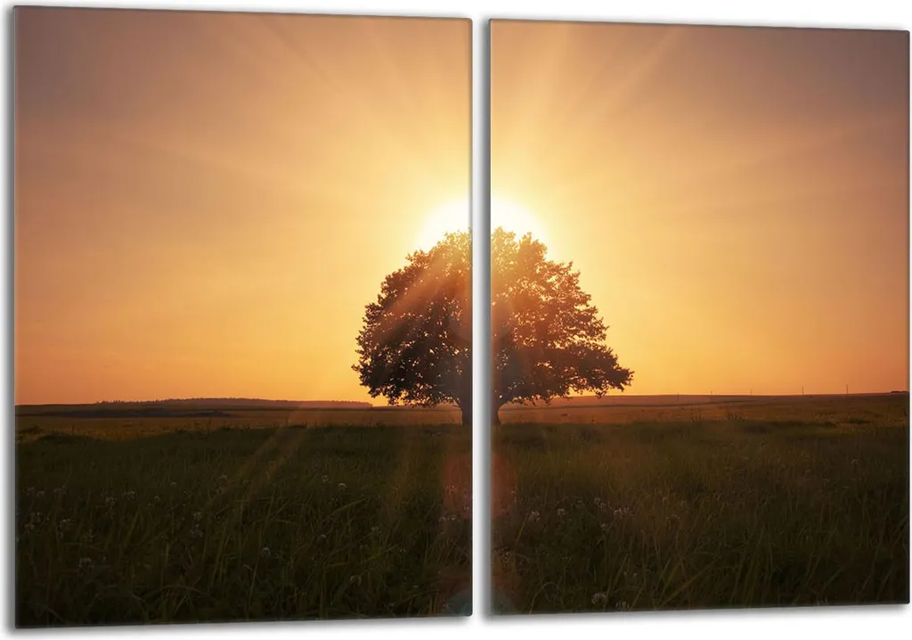 Lastre Copri Fornelli Vetro 40x52 cm Set 2 Pezzi Arancione Tramonto