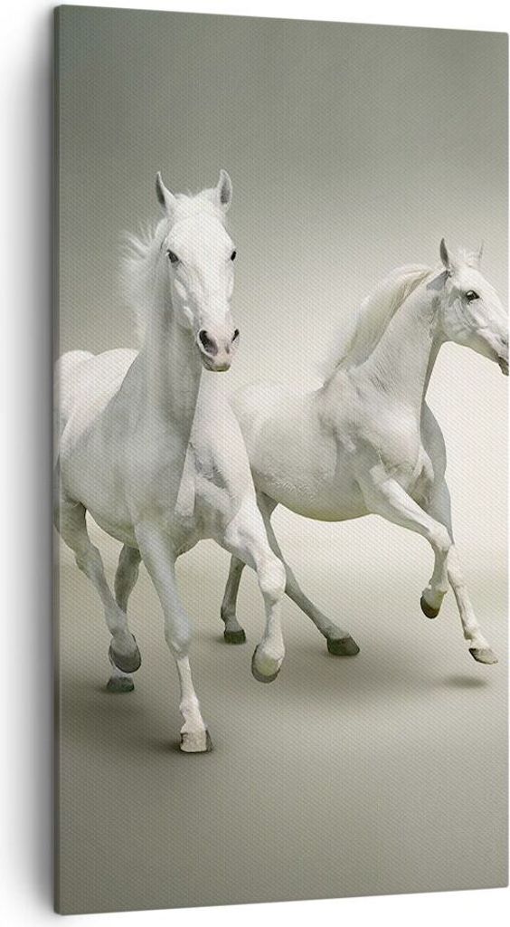 Bild auf Leinwand - Leinwandbild - Tiere araber pferd bauernhof - 45x80cm - Wand Bild - Wanddeko - Leinwanddruck - Bilder - Kunstdruck - Wanddekora...