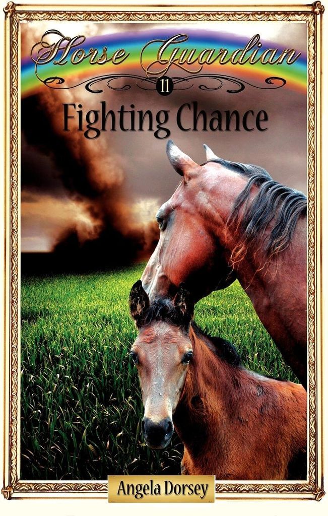 Fighting Chance