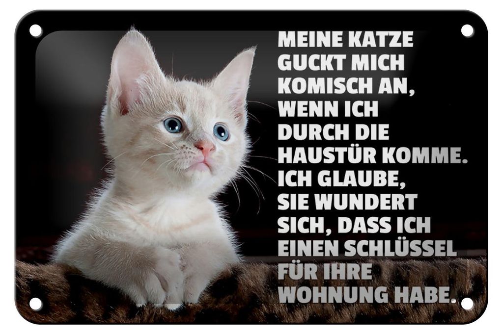 Blechschild Spruch 18x12cm Katze guckt mich komisch an