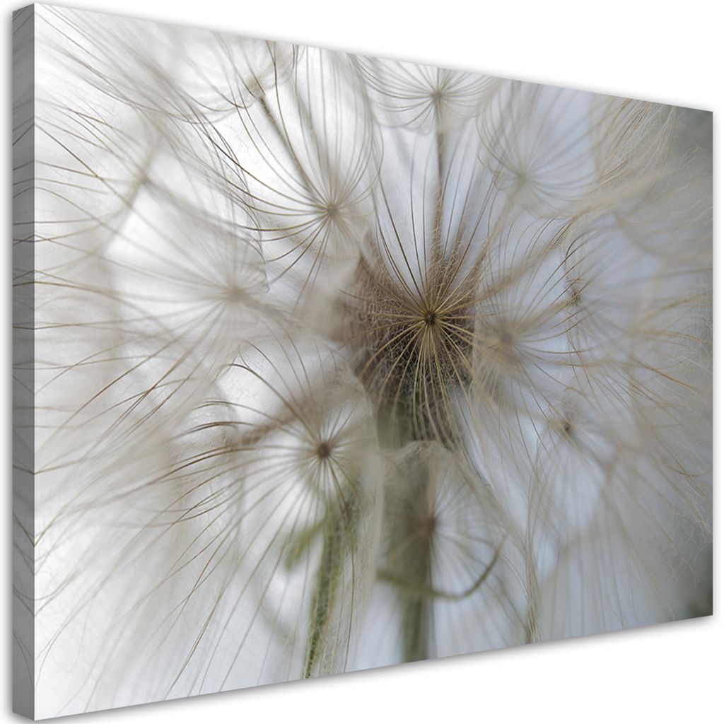 Leinwandbild Löwenzahn im Makro 90x60 Feeby Beige bild für die wand bereit zum aufhängen