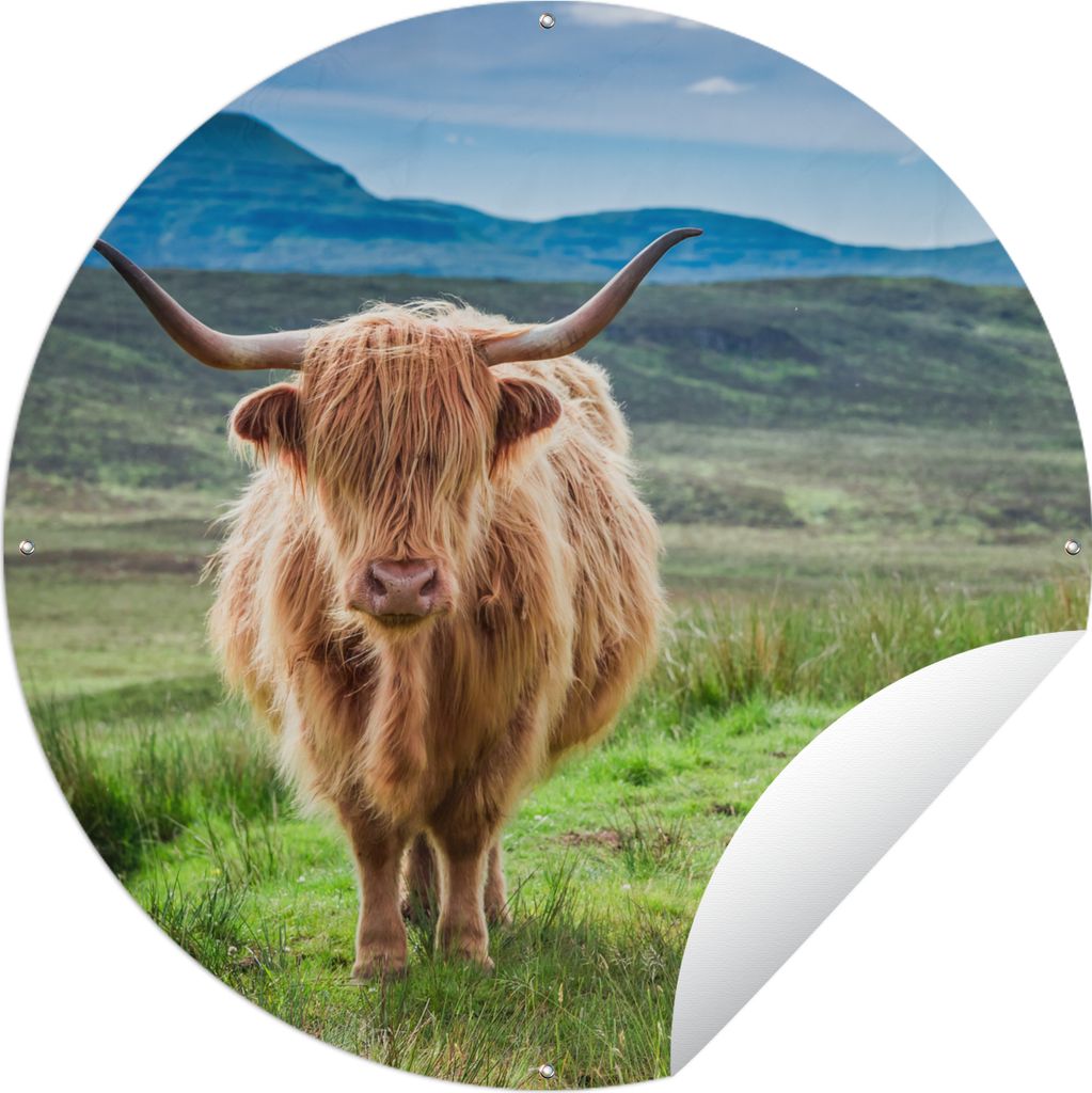 MuchoWow Gartenposter Outdoor-Poster Rund Schottischer Hochländer - Kuh - Natur - Berg - Gras Ø 60 cm Gartendeko Rundes Poster draußen