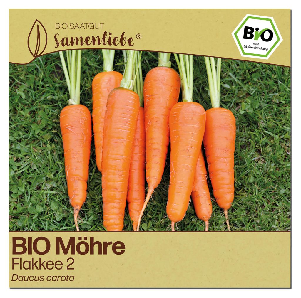 Samenliebe  Karotte Samen | Flakkee 2 - winterhart & orange Produktbild 