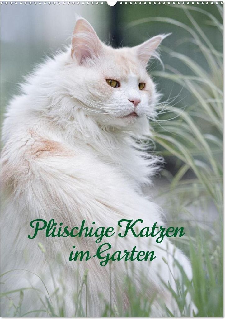 Plüschige Katzen im Garten (Wandkalender 2026 DIN A2 hoch), CALVENDO Monatskalender