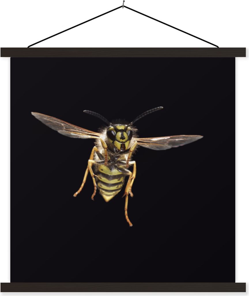 MuchoWow Textilposter Wespe - Insekten - Porträt 120x120 cm mit schwarzem Rahmen - Aufhängungsset