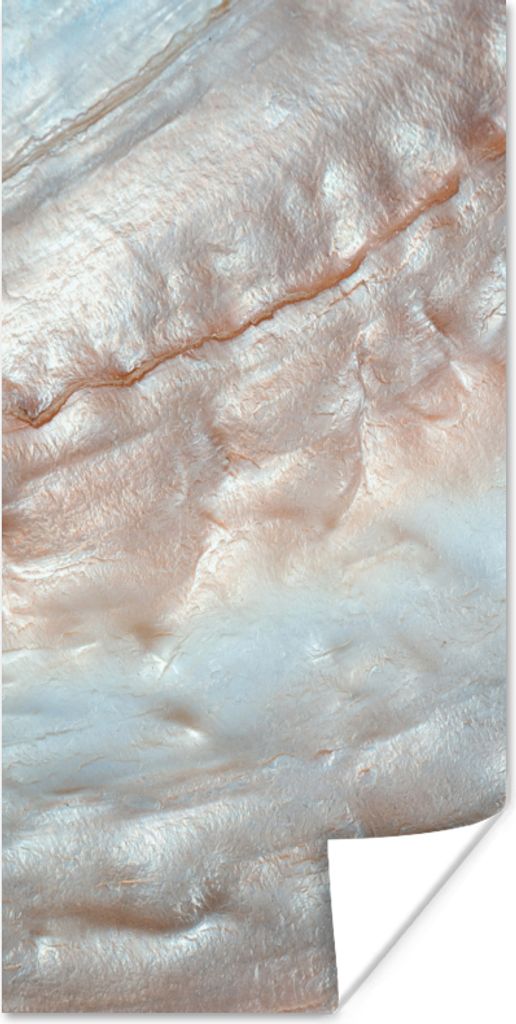 MuchoWow Poster Muscheln - Abstrakt - Natur 40x80 cm - Dekoration