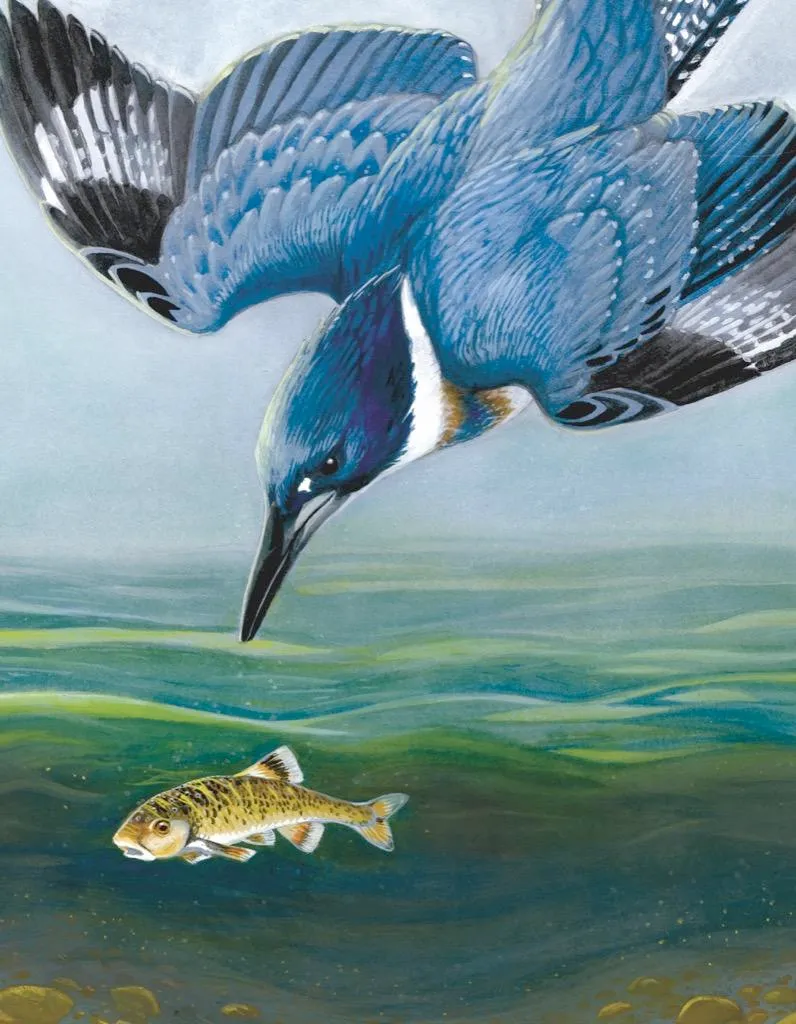 Occupez vos enfants intelligemment avec le puzzle Martin-pêcheur 100 pièces