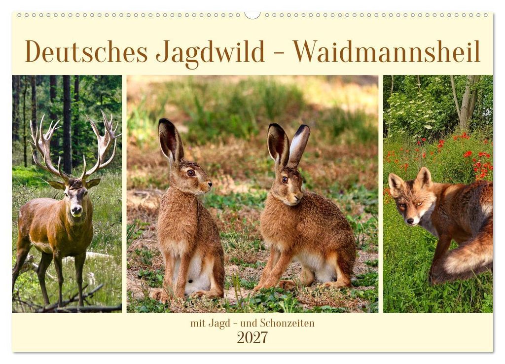 Deutsches Jagdwild - Waidmannsheil (Wandkalender 2027 DIN A2 quer), CALVENDO Monatskalender