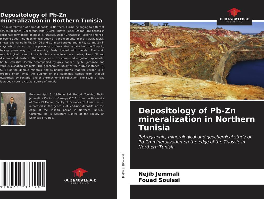 Depositology of Pb-Zn mineralization in Northern Tunisia