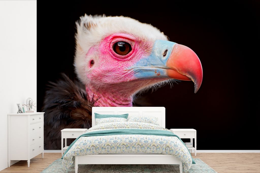 MuchoWow Fototapete für Wohnzimmer oder Schlafzimmer Wandtapete Vinyl Motivtapete Geier - Vogel - Schnabel - 360x240 cm - Vinyl-Tapete