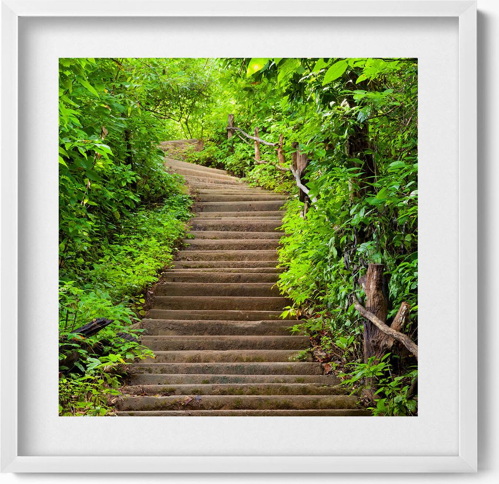 Eine Treppe mitten im Wald– Wandbild mit Rahmen – Gerahmtes Bild – Wanddekoration – 50x50 cm – Weiß Rahmen