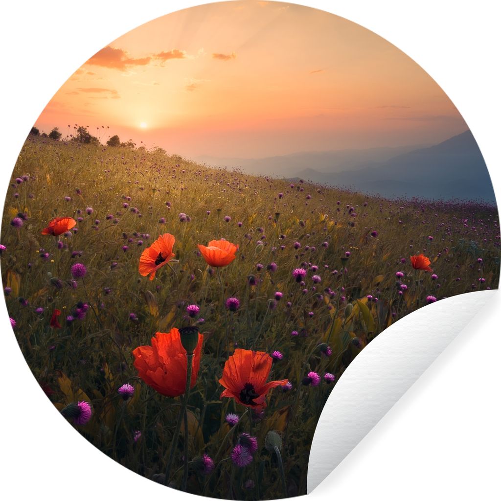 MuchoWow Runde Wandtattoo - Wandsticker Tapete Aufkleber Blumenfeld - Gras - Pflanzen - Sonnenuntergang - Orange Ø 100 cm Selbstklebend und Repo...