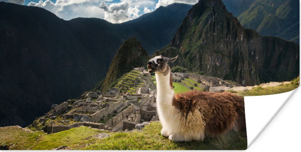 MuchoWow Poster Alpaka - Machu Picchu - Felsen 80x40 cm - Wanddeko