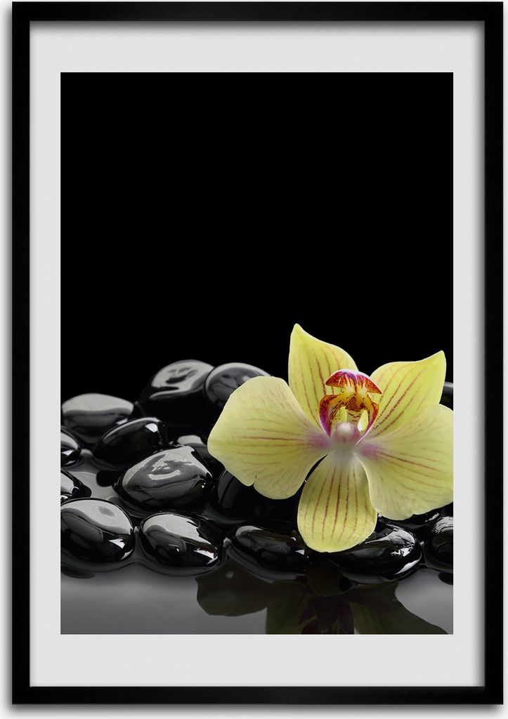 Bild - Bilderrahmen - 50 cm x 70 cm - MDF - Rahmen - Wandkunst Orchidee und Steine
