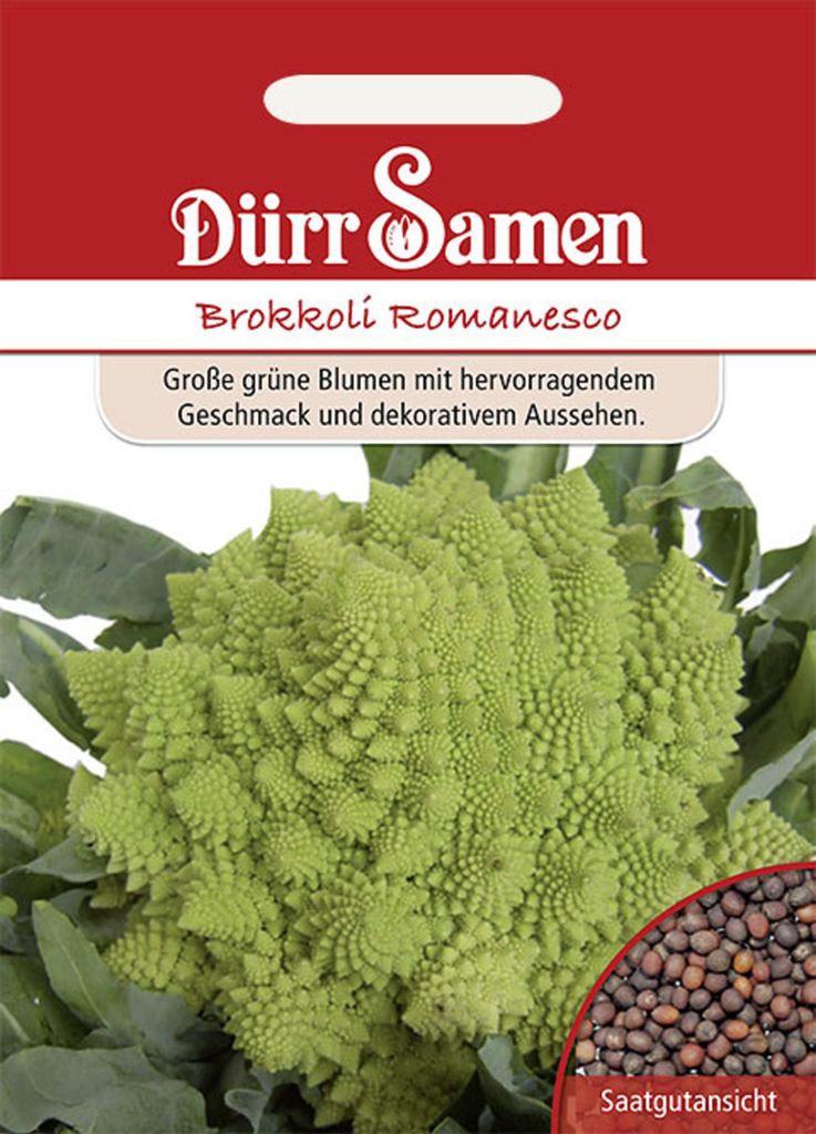 Dürr-Samen - Brokkoli Romanesco - Saatgut - 0516 Produktbild 