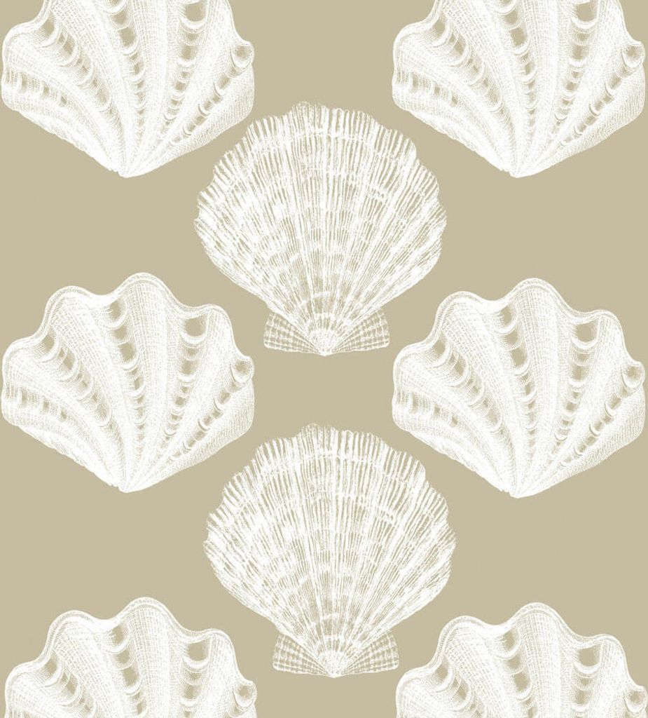 PPD Riviera Shells Taupe Servietten, 20 Stück, Tischservietten, Tissue, Taupe / Weiß, 33 x 33 cm, 1332000