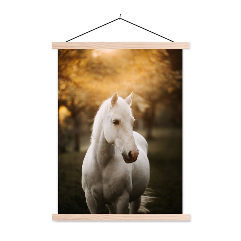 MuchoWow Textilposter Pferd - Sonne - Herbst - Tiere - Natur 60x80 cm mit holzfarbenen Rahmen - Wandbild