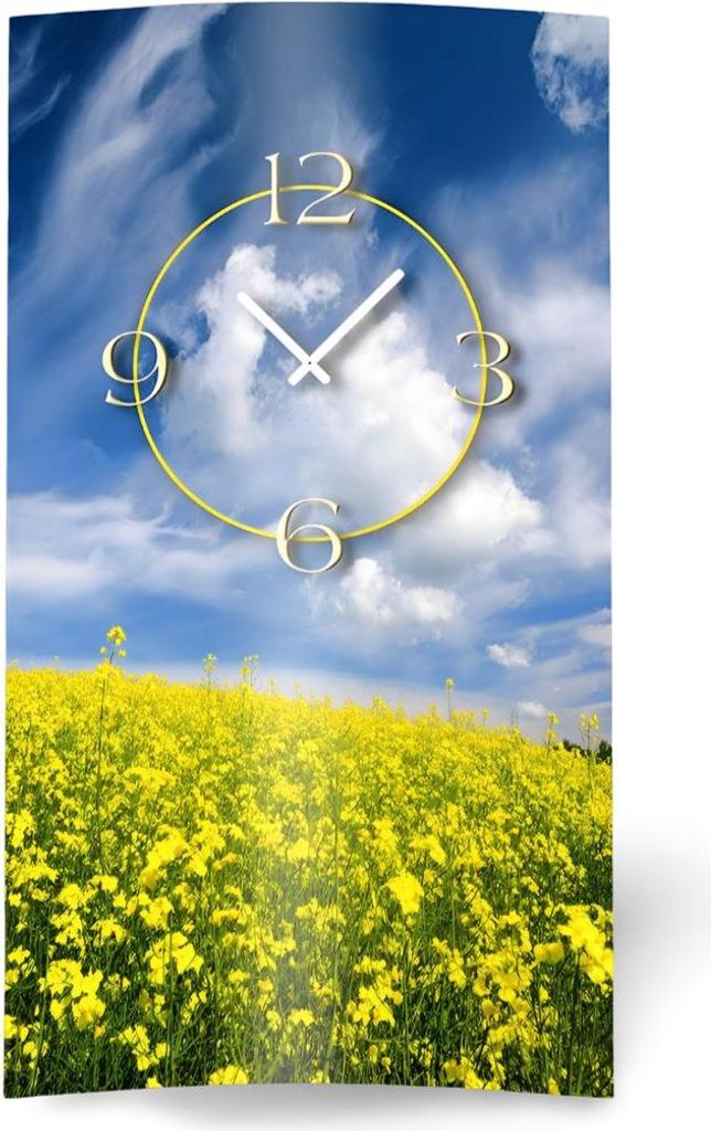 Blumenwiese Designer Wanduhr modernes Wanduhren Design leise kein ticken dixtime 3DS-0168