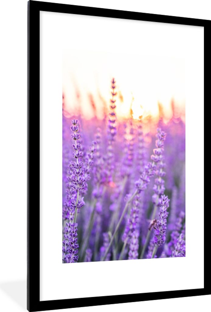 MuchoWow Gerahmtes Poster Lavendel - Nahaufnahme - Lila - Blumen 60x90 cm - Poster mit Schwarzem Bilderrahmen Wandposter Rahmen Foto Bilder - Dek...